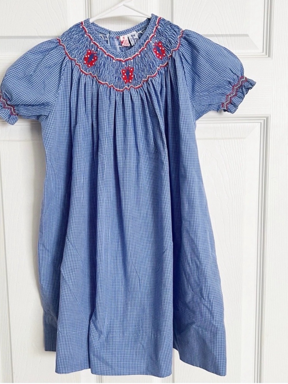 Express Blue Gingham Smocked Dress with Red Embroidery